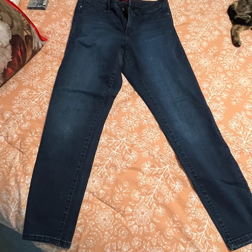 Jennifer Lopez Blue Skinny Jeans with Sleek Fit